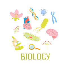 Arrangement design with biology lessons illustrations and lettering. School laboratory and science elements microscope, cells, dna, ciliate slipper, chromosome, heart, brain, bacteria, virus, flower