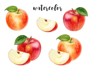 A Beautiful and Vibrant Collection of Watercolor Apples and Their Sliced Variants
