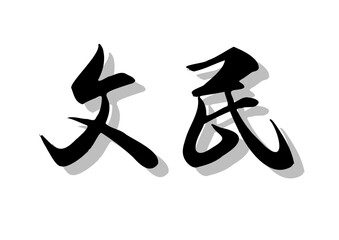 筆文字，文民，行書，毛筆，墨，影，