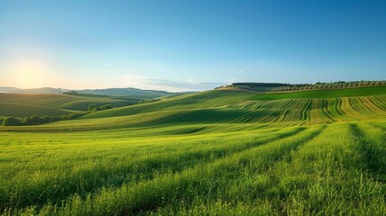 Serene countryside with rolling fields and a clear blue sky, peaceful and pastoral 