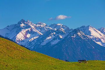 Oberstdorfer Berge - Allgäu - Blumen - Bank - Panorama