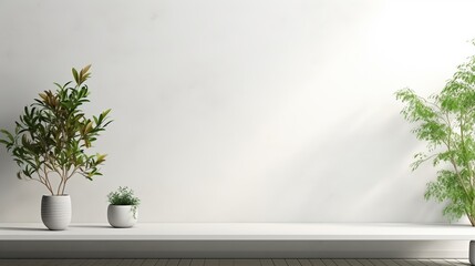 Minimalist Interior Design with Plants and White Wall