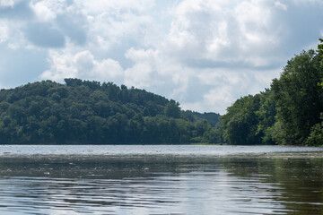 A gorgeous view of water near trees and plants at a local park in Minnesota.