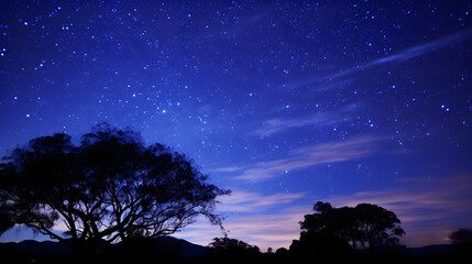 Naklejka premium Underneath the Enthralling Canopy of Stars: A Magnificent Tapestry of Cosmic Elegance Unfolding in the Night Sky