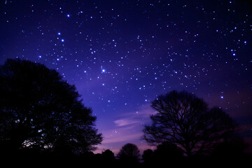 Underneath the Enthralling Canopy of Stars: A Magnificent Tapestry of Cosmic Elegance Unfolding in the Night Sky