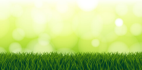 Obraz premium Grass Border With Background With Bokeh