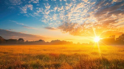 Fototapete Sunrise Meadow. Rich Autumn Landscape with Radiant Sunshine and Sky Background © Alona