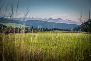 A meadow under the mountains hidden in the clouds.