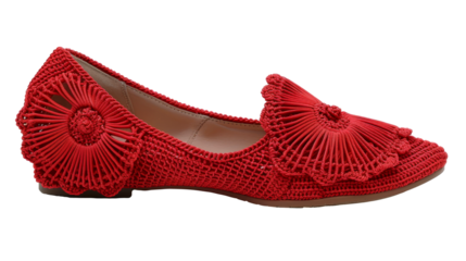 Stylish Red Lace-Up Dance Shoe With Large Text Area