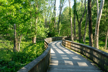 long windy boardwalk made of lumber with handrail to allow walking trail path through wooded...