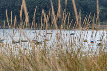 Fishing boats in the village of O Porto de Bares, Spain