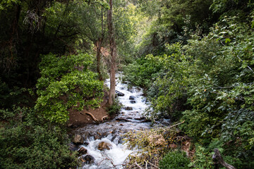 Summer Hiking views of Great Western Trail Layton City Utah