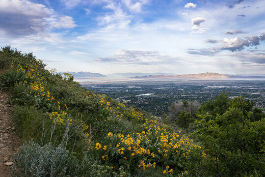 Summer Hiking views of Great Western Trail Layton City Utah