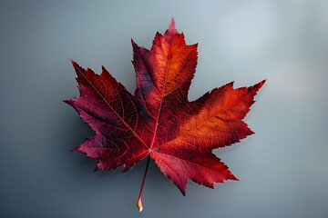 autumn maple leaf, vibrant red foliage, seasonal decoration, nature's beauty, ideal for marketing, education, artistic inspiration, emotional resonance, eco-friendly themes, autumn aesthetics,...