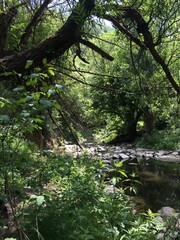 Impresionante vista de un paisaje natural que captura la serenidad y la majestuosidad de la naturaleza en su máxima expresión.
