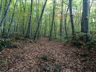 Impresionante vista de un paisaje natural que captura la serenidad y la majestuosidad de la naturaleza en su máxima expresión.