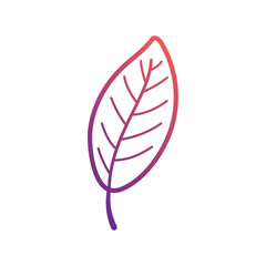 Autumn leaves icon Vector