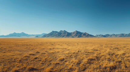 Vast desert plain with distant mountains and a clear blue sky, arid and expansive