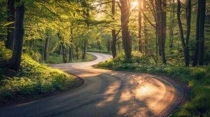 Fototapeta premium Acountry lane with a curve to the left green lush trees on each side the sun is low and shining through the trees casting long higlights and shadow on the road which has a diminishing perspective