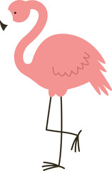 Flamingo Bird Hand Drawn