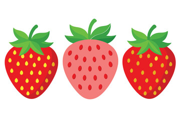 Strawberry flat vector illustration on white background.