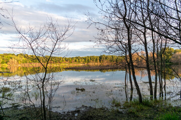 A gorgeous view of water near trees and plants at a local park in Minnesota.