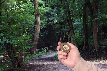 Man holding compass on pathway leading to forest, closeup