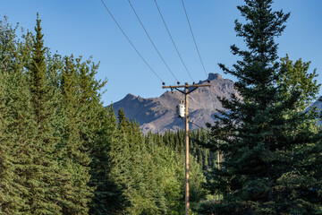 Healy is a census-designated place (CDP) and the borough seat of Denali Borough in the U.S. state of Alaska.[