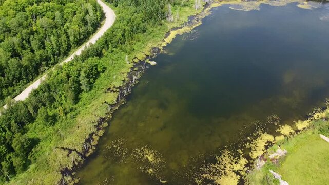 Vue a&eacute;rienne avec un drone d'un petit lac peu profond mar&eacute;cageux entour&eacute; d'algues, d'arbres morts, de for&ecirc;t, de champs cultiv&eacute;s et d'un chemin forestier. Situ&eacute; a Sainte-Ir&egrave;ne,Qu&eacute;bec, Canada.