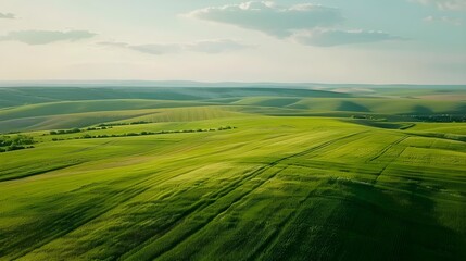 Aerial view of green fields crops and harvests