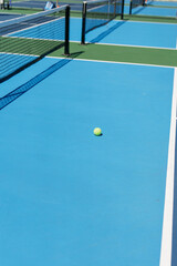 pickleball court and ball