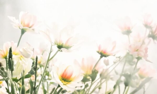 Dreamy Floral Bouquet: Delicate pink and white flowers bloom in a soft, ethereal glow, creating a serene and romantic atmosphere. Their petals are gently kissed by the morning light, casting a dreamy 