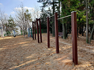 Fototapeta premium exercise machine, chin-up bar, pull-up bar