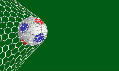 A soccer ball flies into the goal net.