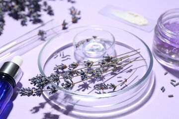 Petri dishes with lavender flowers and cosmetic products on violet background, closeup
