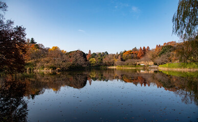 横浜2012　三ッ池公園5　紅葉