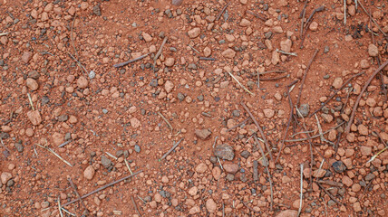 A close-up view of red dirt and pebbles, with small twigs scattered on the surface. Red Dirt and Pebbles texture material background.