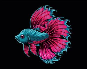 Fototapeta premium Drawn Betta Fish and Goldfish art and vector illustration 