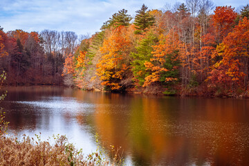 Autumn colourful foliage over lake with beautiful woods in red and orange colour reflecting in the...