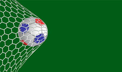 A soccer ball flies into the goal net.