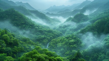 Obraz premium Majestic Green Mountain Landscape with Misty Valleys and Lush Forests in a Serene Natural Setting