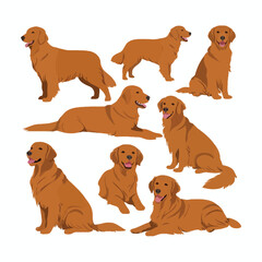 Golden Retriever dog silhouette set animals vector template