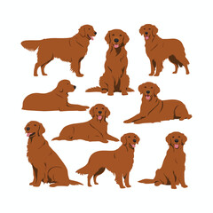 Golden Retriever dog silhouette set animals vector template