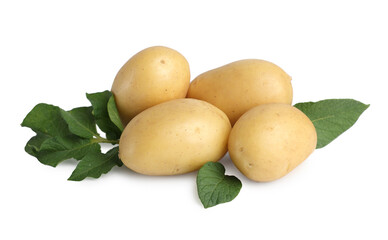Fresh raw potatoes and green leaves isolated on white