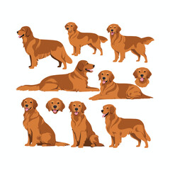 Obraz premium Golden Retriever dog silhouette set animals vector template