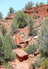 Hiking Trail in Red Rock State Park near Sedona, Arizona