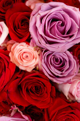 Obraz premium bouquet of red and pink roses