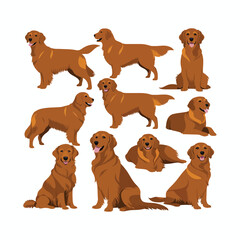 Obraz premium Golden Retriever dog silhouette set animals vector template
