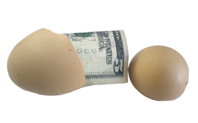 Cracked egg with five dollars banknote inside isolated on transparent background.