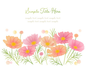 コスモスのイラストフレーム